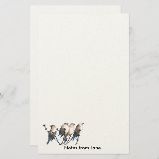 Papier - WaxWing - Noten van ... (Voorkant / Achterkant)