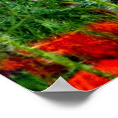 Papierafdrukken Poster (Hoek)