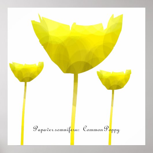 Papierafdrukken Poster (Voorkant)