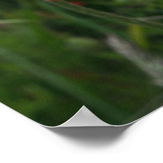 Papierafdrukken Poster (Hoek)