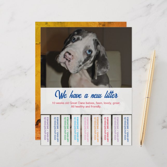 Papierblad (Voorkant / Achterkant in situ)