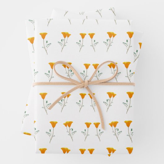 Papierbladen van Californische papavers oppakken Inpakpapier Vel (In situ)