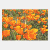 Papierbladen van Californische papavers oppakken Inpakpapier Vel (Voorkant 3)