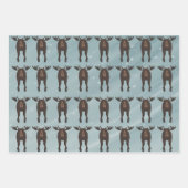 Papierbladen voor losse onmiddellijke verpakking inpakpapier vel (Voorkant 3)