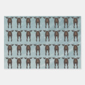 Papierbladen voor losse onmiddellijke verpakking inpakpapier vel (Voorkant)