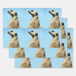 Papierbladen voor rotatiepersen inpakpapier vel