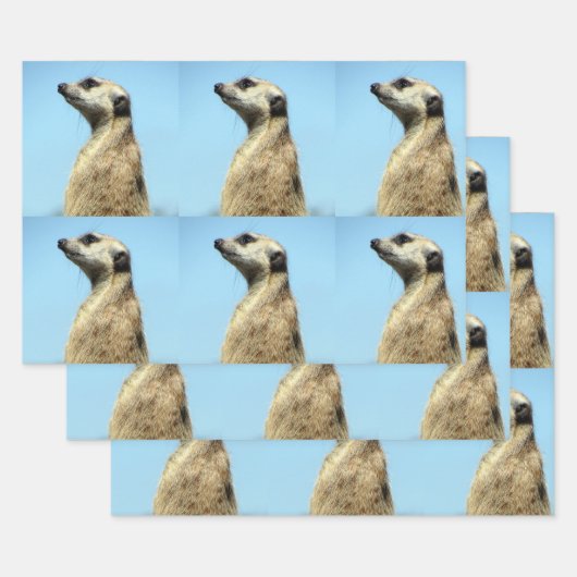 Papierbladen voor rotatiepersen inpakpapier vel (Set)