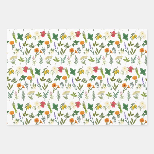 Papieren bladen van Apothecary Herb-pakpapier Inpakpapier Vel (Voorkant 2)