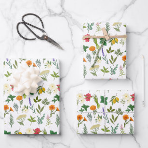 Papieren bladen van Apothecary Herb-pakpapier Inpakpapier Vel