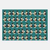 Papieren bladen voor calico-katten inpakpapier vel (Voorkant 2)
