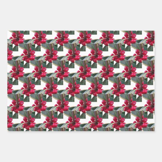 Papieren bladen voor echt kerstwandelpapier in Eur Inpakpapier Vel (Voorkant 3)