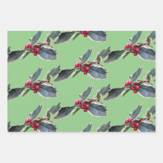 Papieren bladen voor echt kerstwandelpapier in Eur Inpakpapier Vel (Voorkant 2)