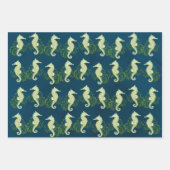 Papieren bladen voor zeepaardverdamping inpakpapier vel (Voorkant 2)