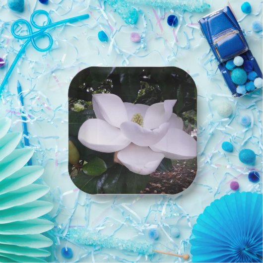 Papieren Bord (Feest)