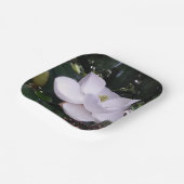 Papieren Bord (Gebogen)