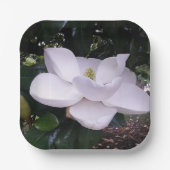 Papieren Bord (Voorkant)