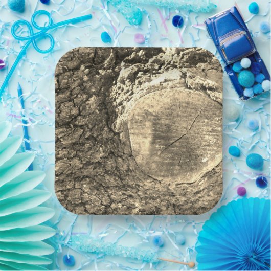 papieren bord (Feest)