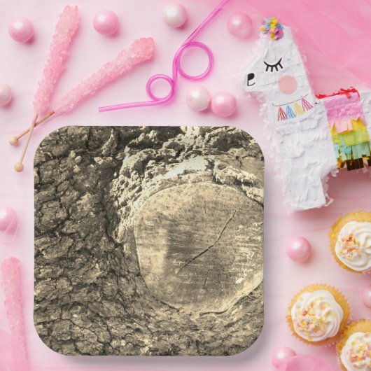 papieren bord (Feest)