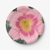 Papieren Bord (Voorkant)