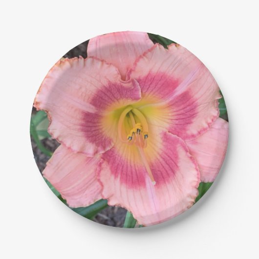 Papieren Bord (Voorkant)