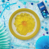 Papieren bord (Feest)