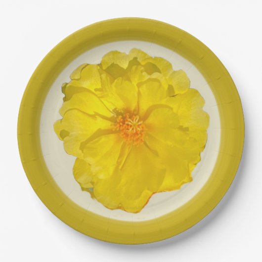 Papieren bord (Voorkant)