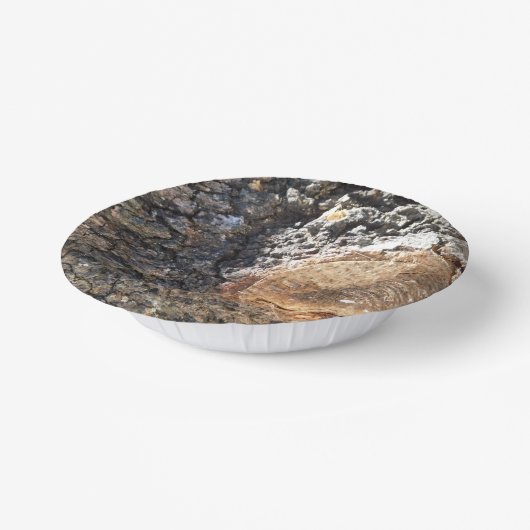 papieren bord (Gebogen)