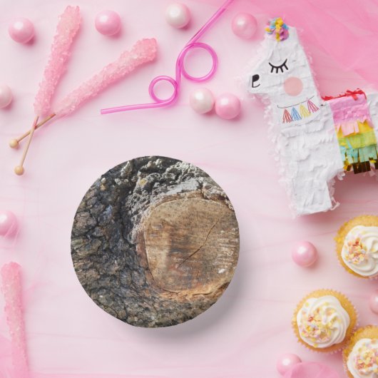 papieren bord (Feest)