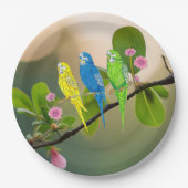 Papieren Bord Budgies (Voorkant)