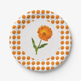Papieren Bord - Calendula