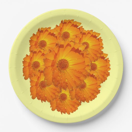 Papieren Bord - Calendula Blossom (Voorkant)