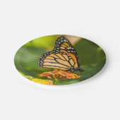 papieren bord foto vlinder op een bloem (Gekanteld)