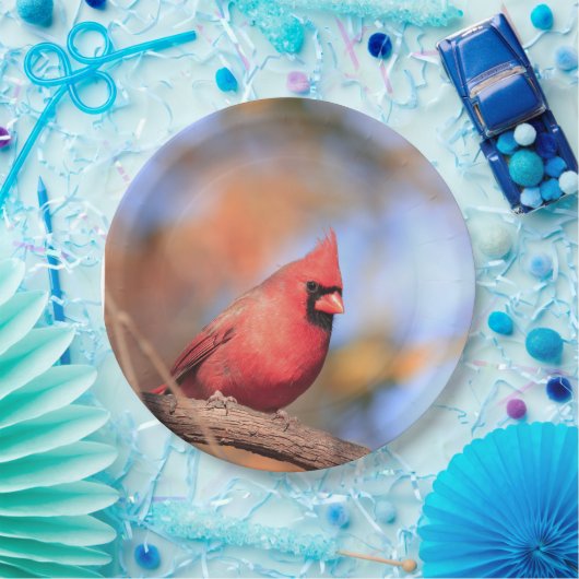 Papieren bord met afbeelding van mannelijke noorde (Feest)