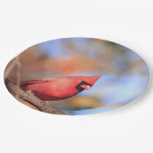 Papieren bord met afbeelding van mannelijke noorde (Gekanteld)