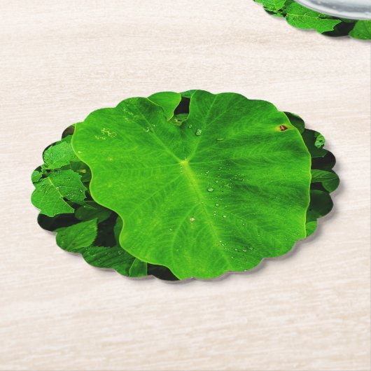 Papieren bord met bladmotief  kartonnen onderzetters (Gekanteld)