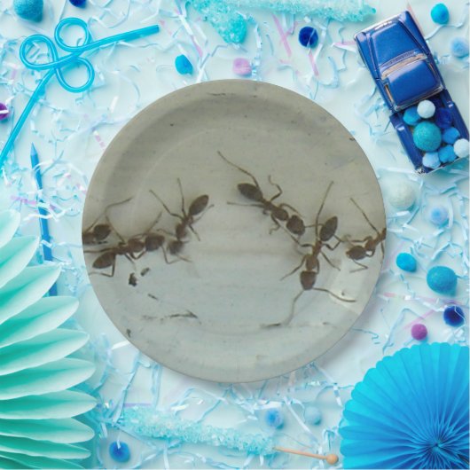 Papieren Bord - Mieren bij Picnic (Feest)