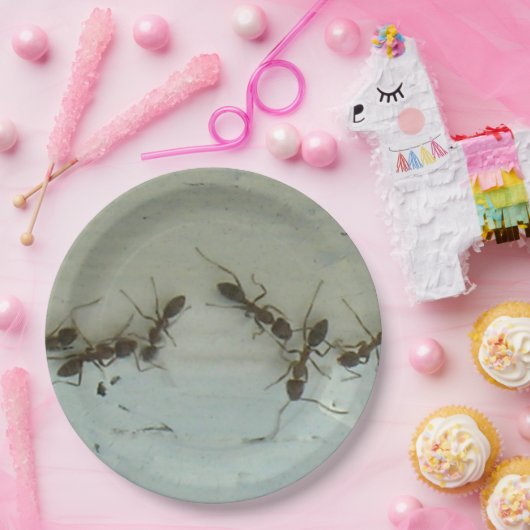 Papieren Bord - Mieren bij Picnic (Feest)