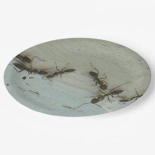 Papieren Bord - Mieren bij Picnic