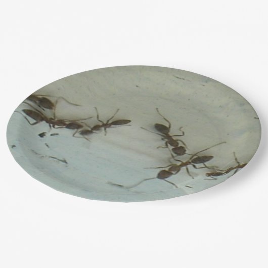 Papieren Bord - Mieren bij Picnic (Gekanteld)