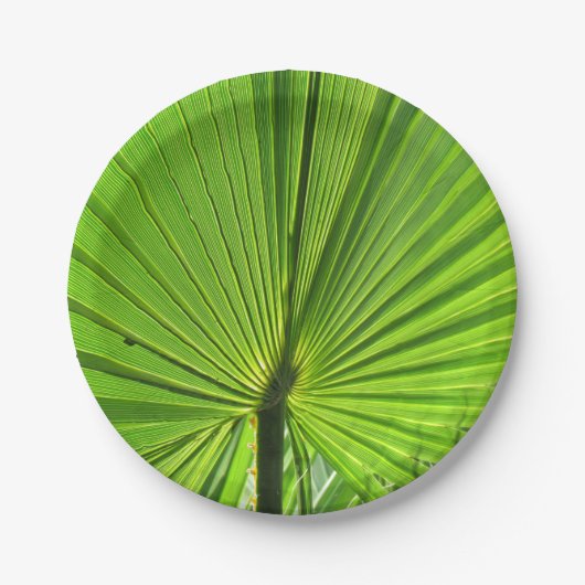 Papieren Bord - Tropische palm (Voorkant)