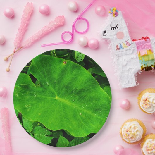 Papieren bord van de natuur (Feest)