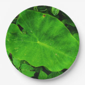Papieren bord van de natuur (Voorkant)