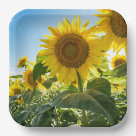 Papieren Borden Bordje