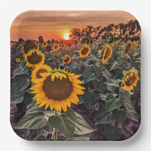 Papieren Borden Bordje (Voorkant)