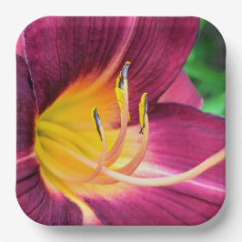 Papieren Borden Bordje