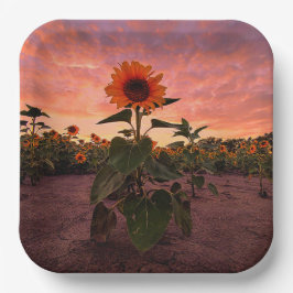 Papieren Borden Bordje