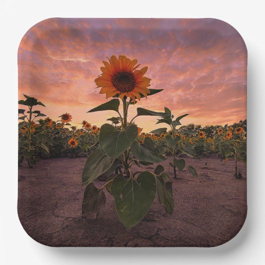 Papieren Borden Bordje (Voorkant)