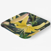 Papieren Borden Bordje (Gebogen)