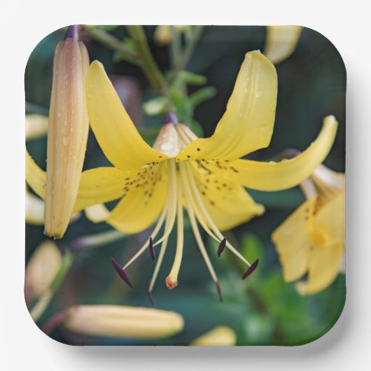 Papieren Borden Bordje (Voorkant)