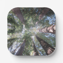 Papieren Borden en Kommen California Redwoods Kijk
